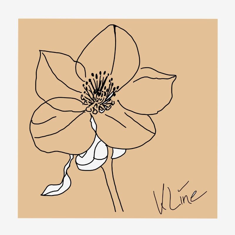 Affiche Rose de Noël