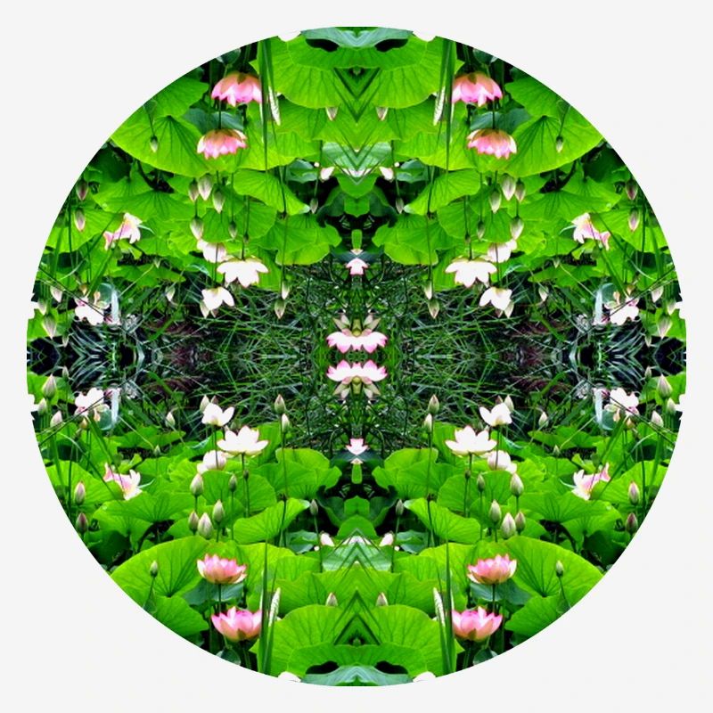 Nature Mandala Dennenlohe