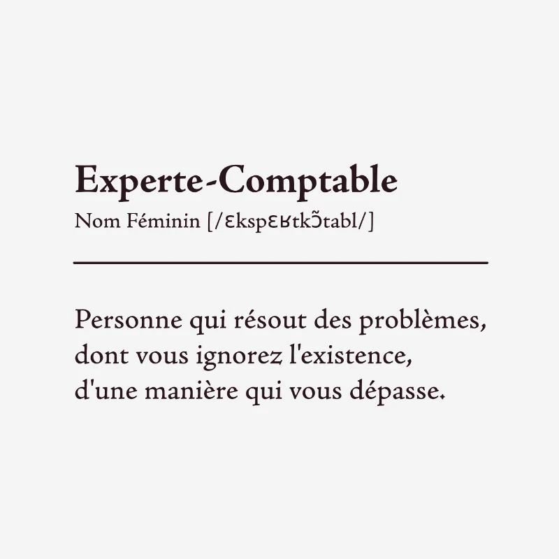 Experte Comptable Definition