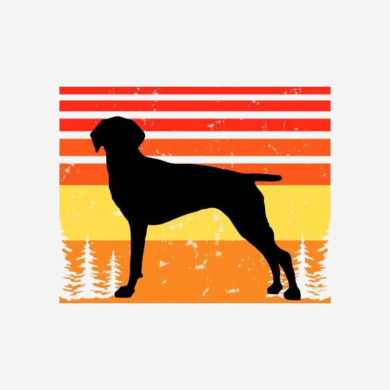 Old Danish Pointer Dog Silhouette Retro Sunset