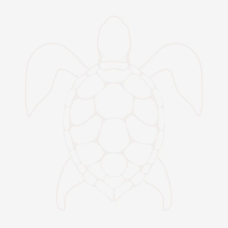 Turtle Lineart