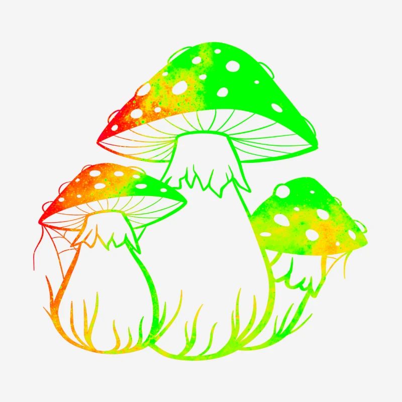 Champignons fluos