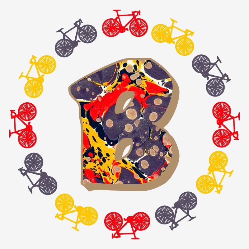 Bicycle E 202 B