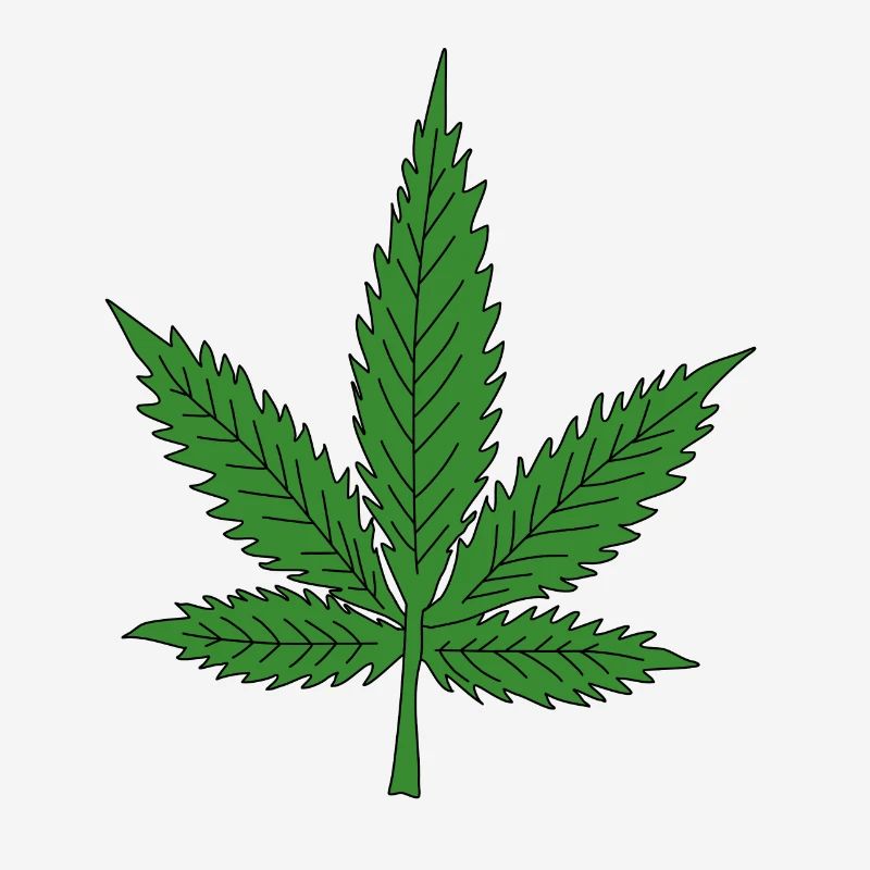 Hemp Leaf
