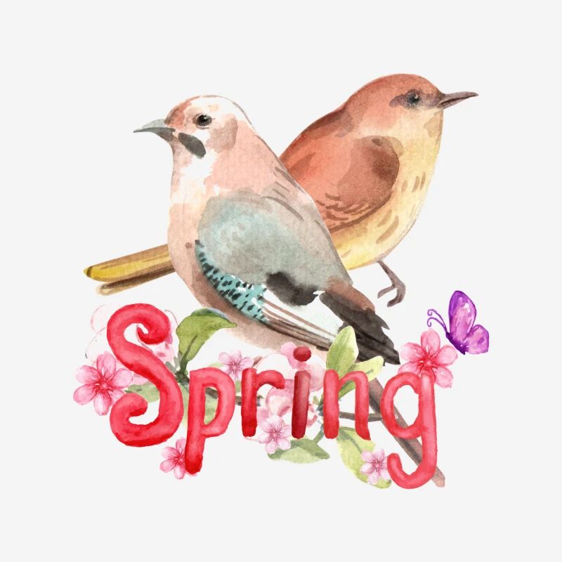 Spring