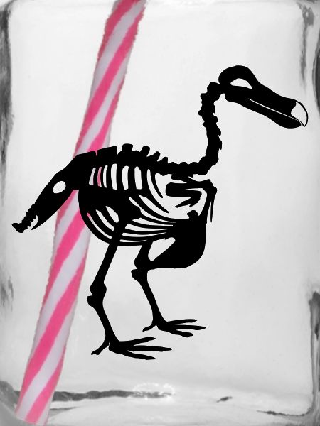 Dodo