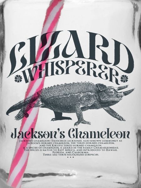 Jackson's Chamäleon Echsenflüsterer