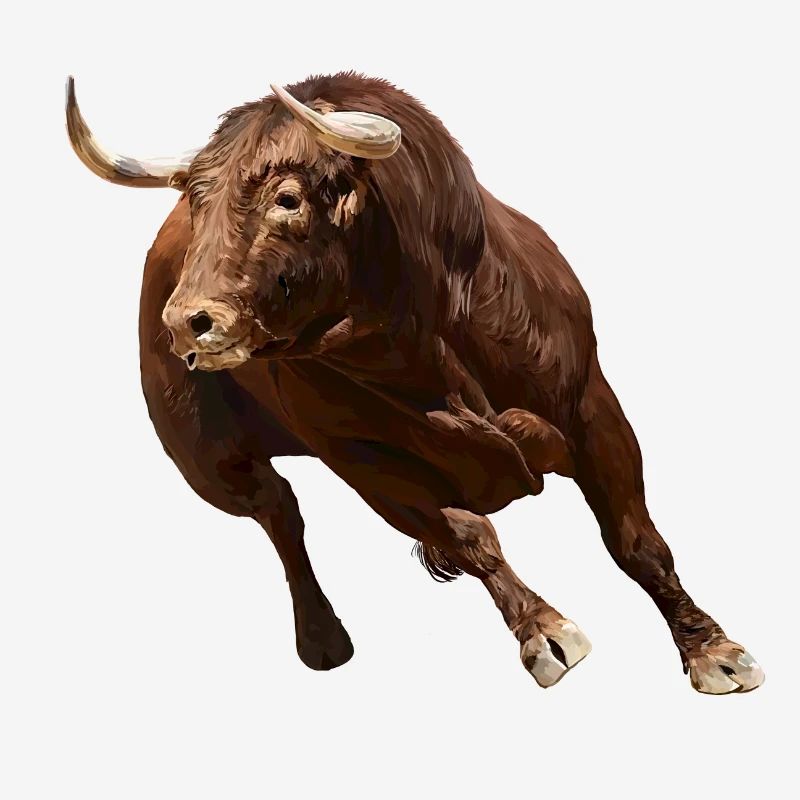 Bull
