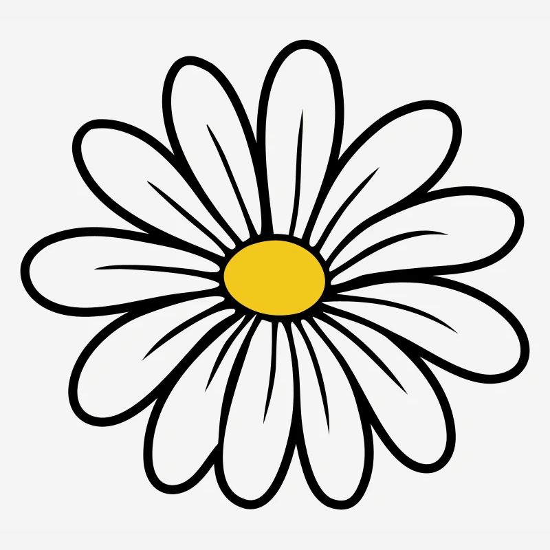 Gänseblümchen
