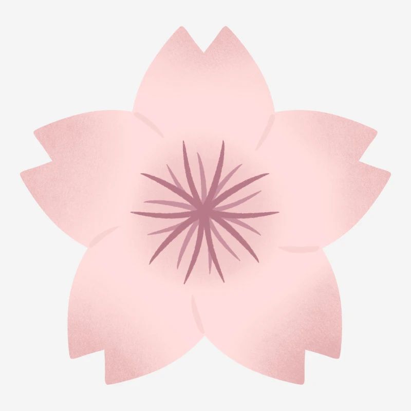 Blush Cherry Bloom