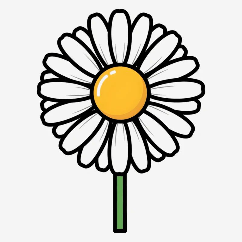 daisy