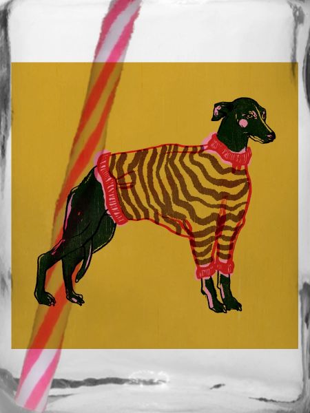 WHIPPET IN STREIFEN
