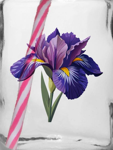 Irisblume