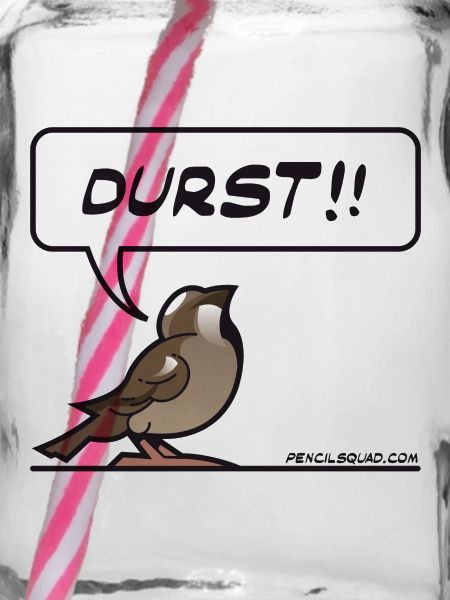 Durstiger Spatz