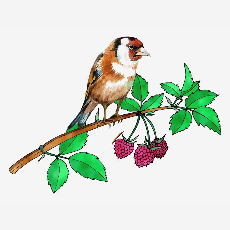 Goldfinch and raspberry