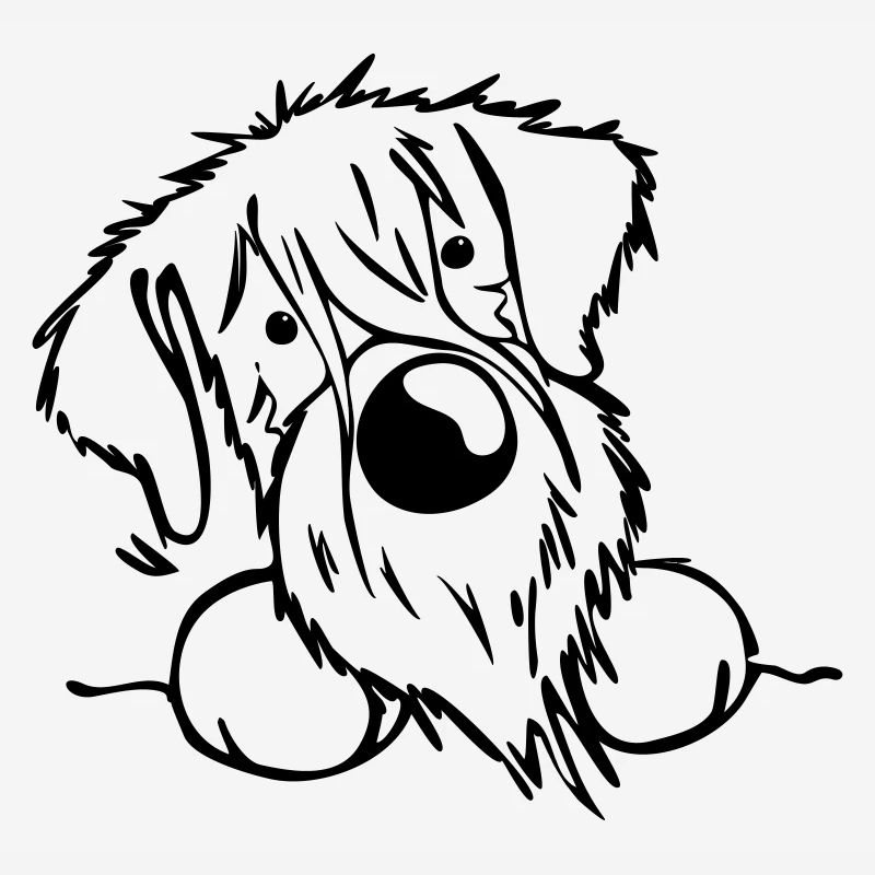 Neugieriger Schnauzer