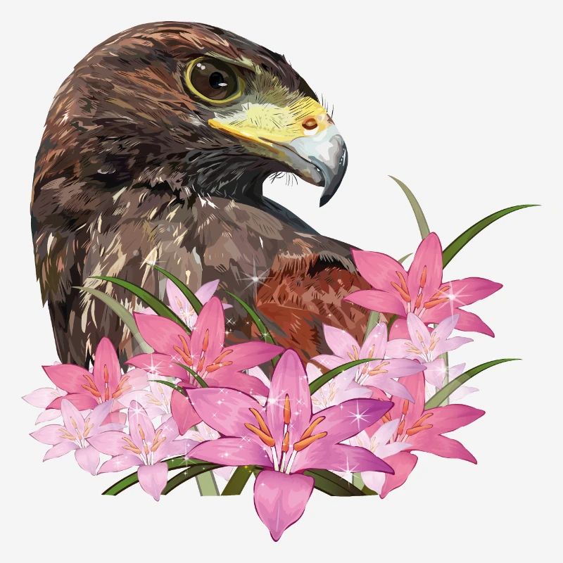 harris hawk