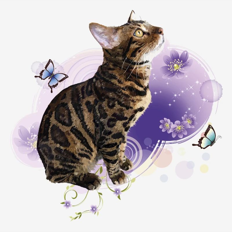 Chat du Bengale