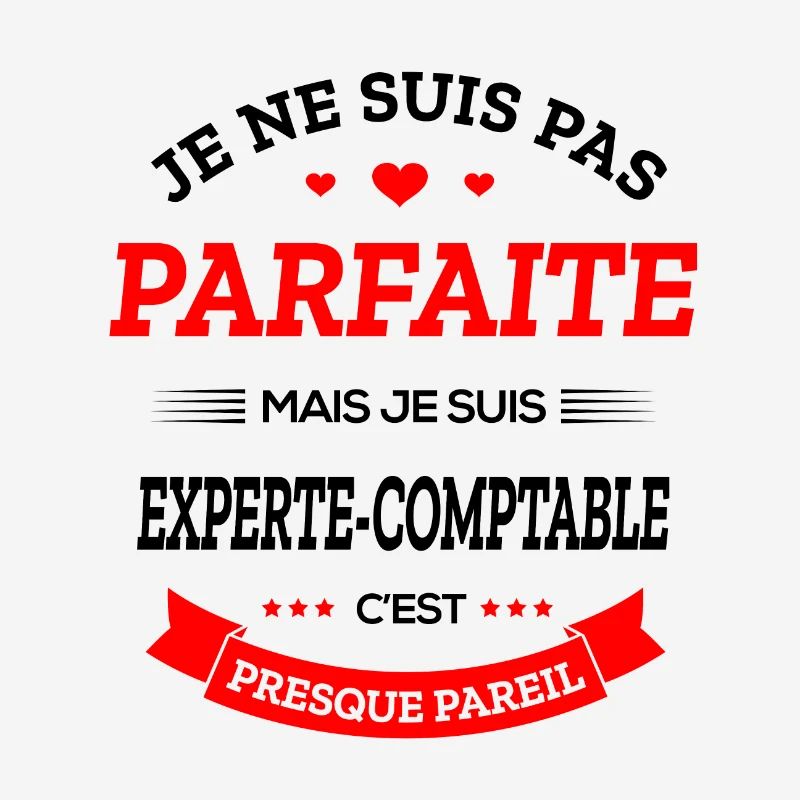 EXPERTE-COMPTABLE PARFAITE