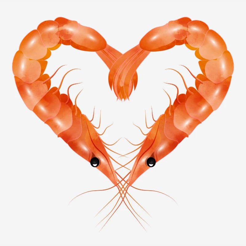 zwei Garnelen oder Shrimps in Herz Form gestaltet