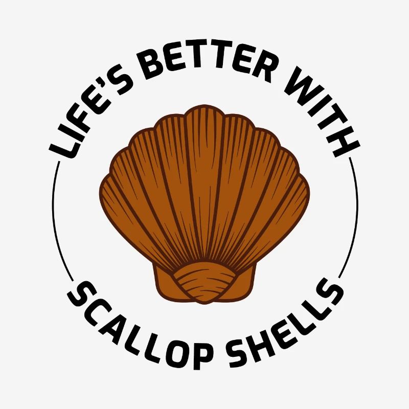 Scallop Seashells Collector Beachcomber Shellfish
