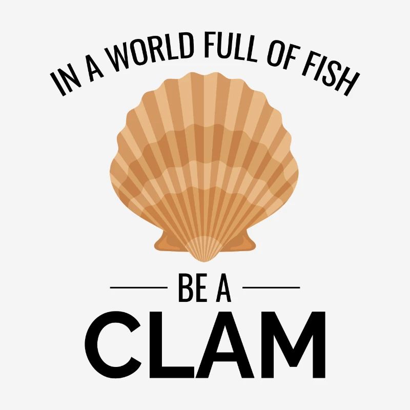 Clam Shell Seashells Collector Shellfish Beach