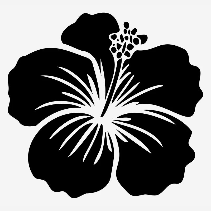 Hibiskus Blume – SVG Schwarz oder Weiß Icon Symbol