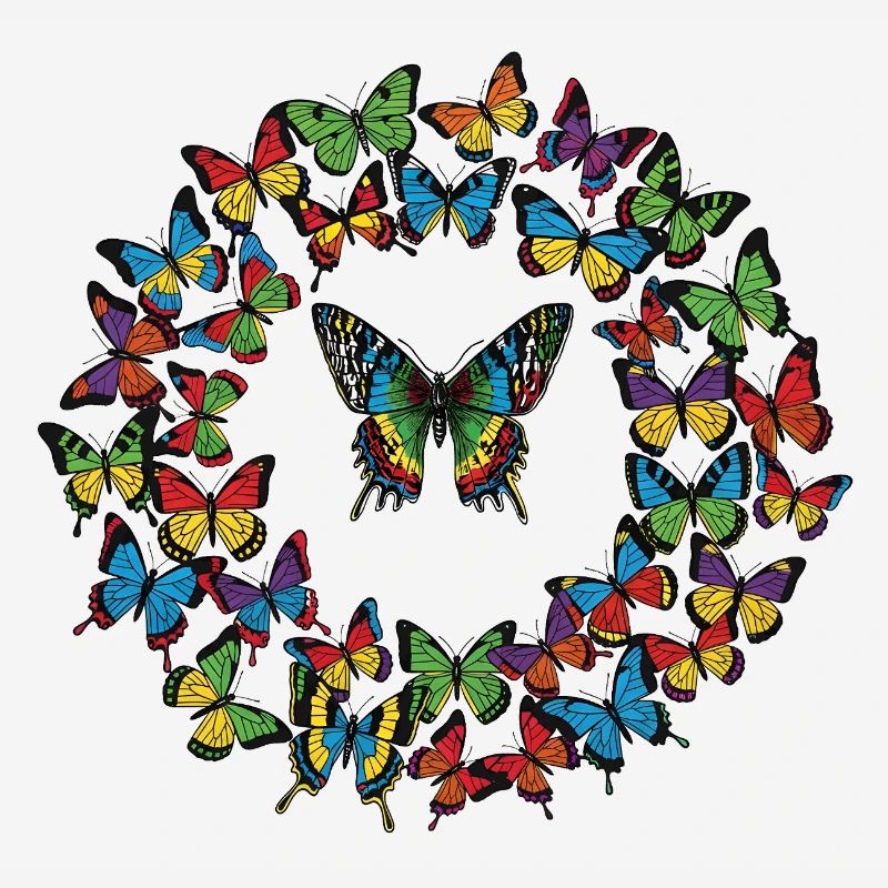 Rainbow Butterfly Circle