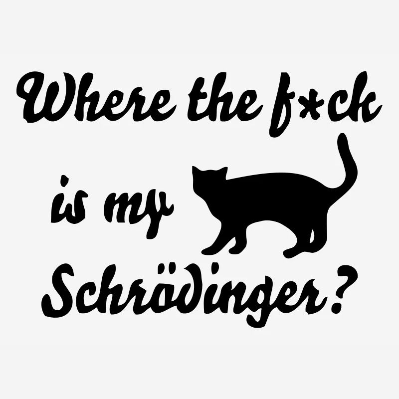 Chat de Schrödinger