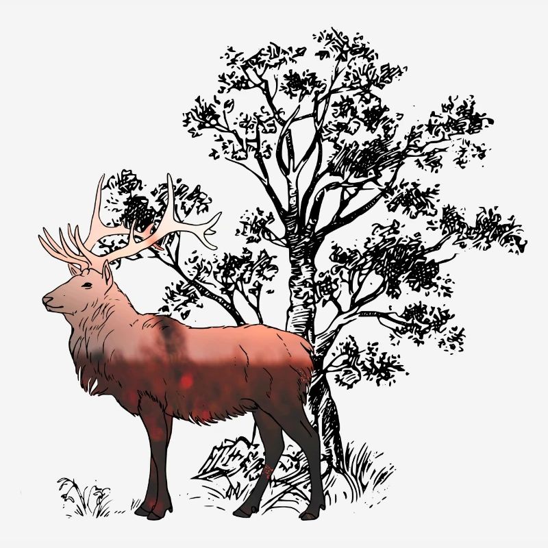 Deer Forest
