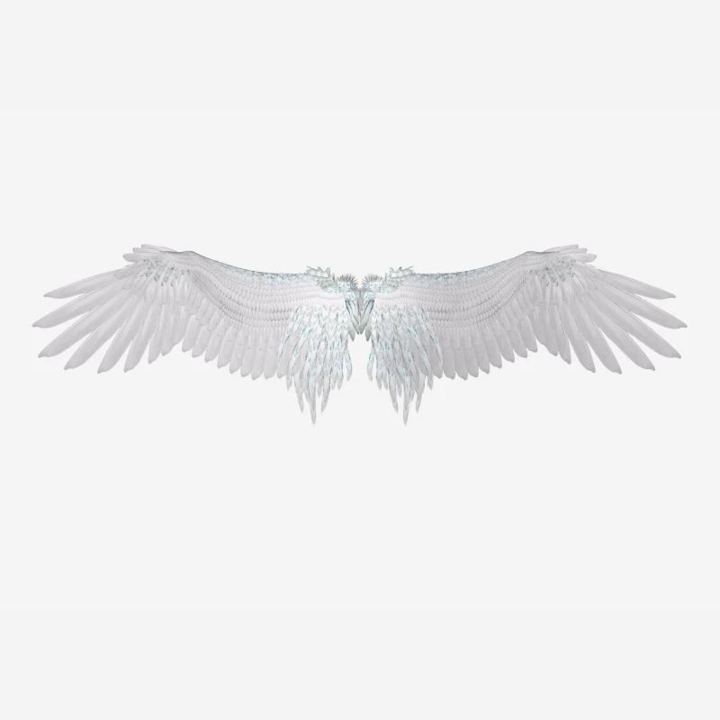 ailes d'ange