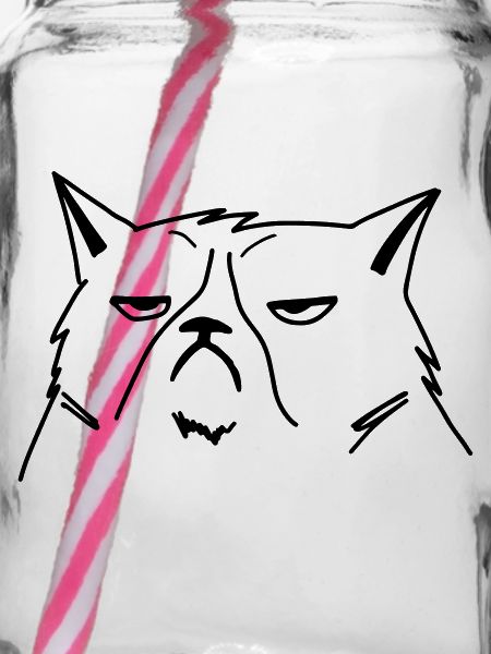 chat grincheux
