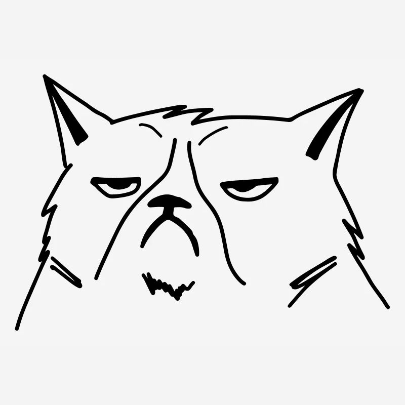 chat grincheux