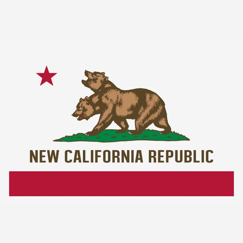 DRAPEAU NCR