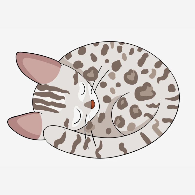 Chat de Bengale Chat