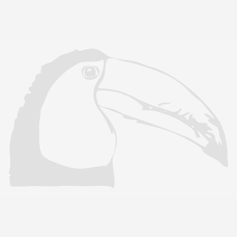 Toucan de profil