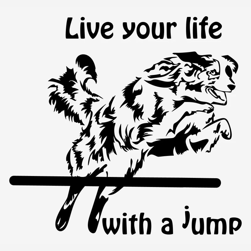 Agility Australian Shepherd Aussie