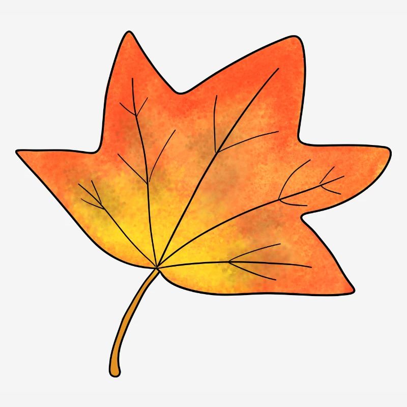 Autumn Leaf Maple Leaf
