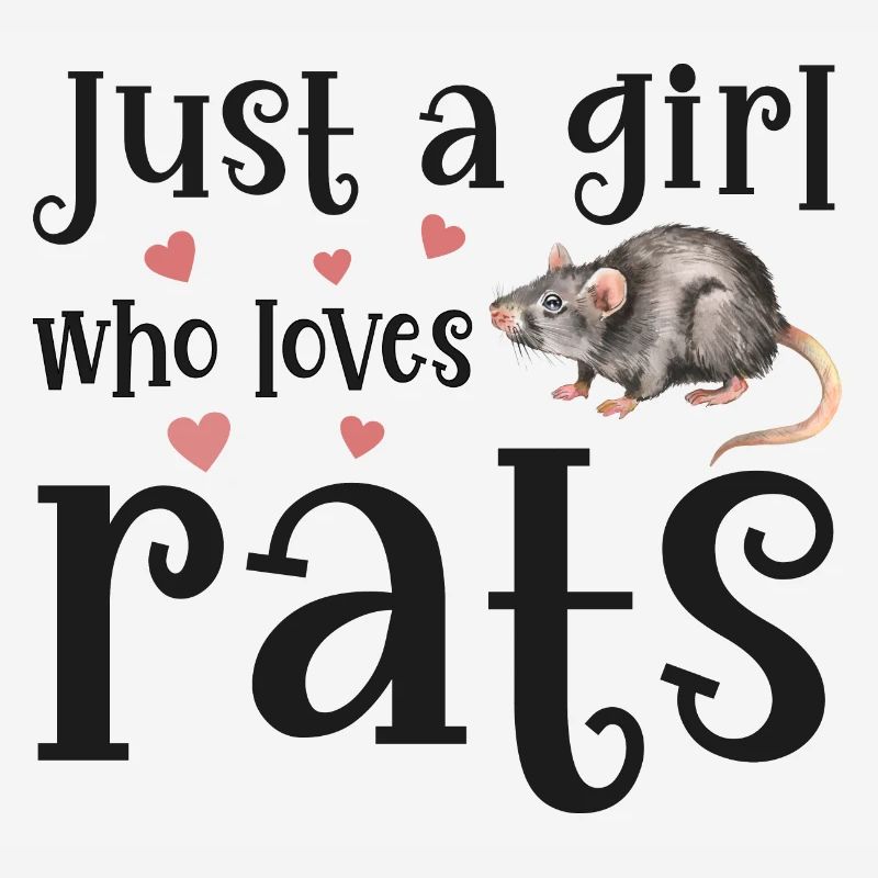 Ratte Ratten
