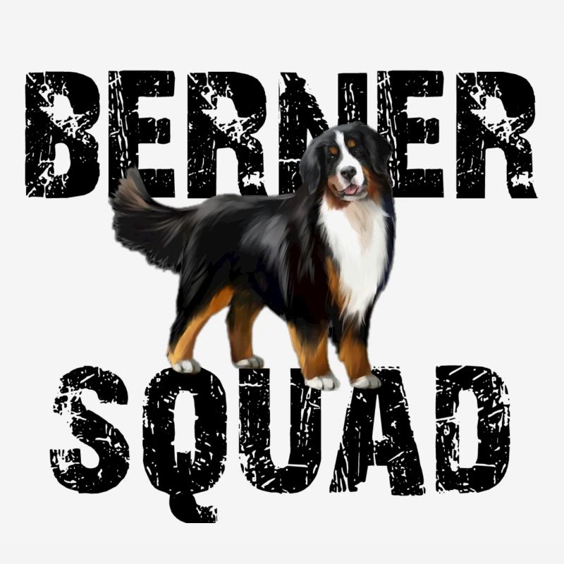 Bernese Mountain Dog