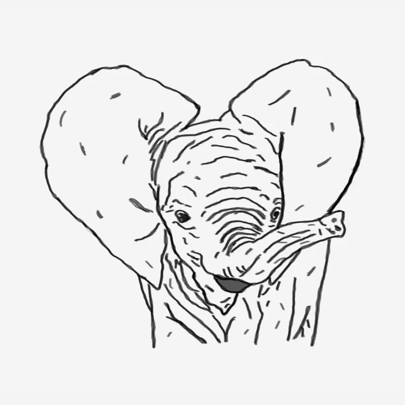 Bébé éléphant noir
