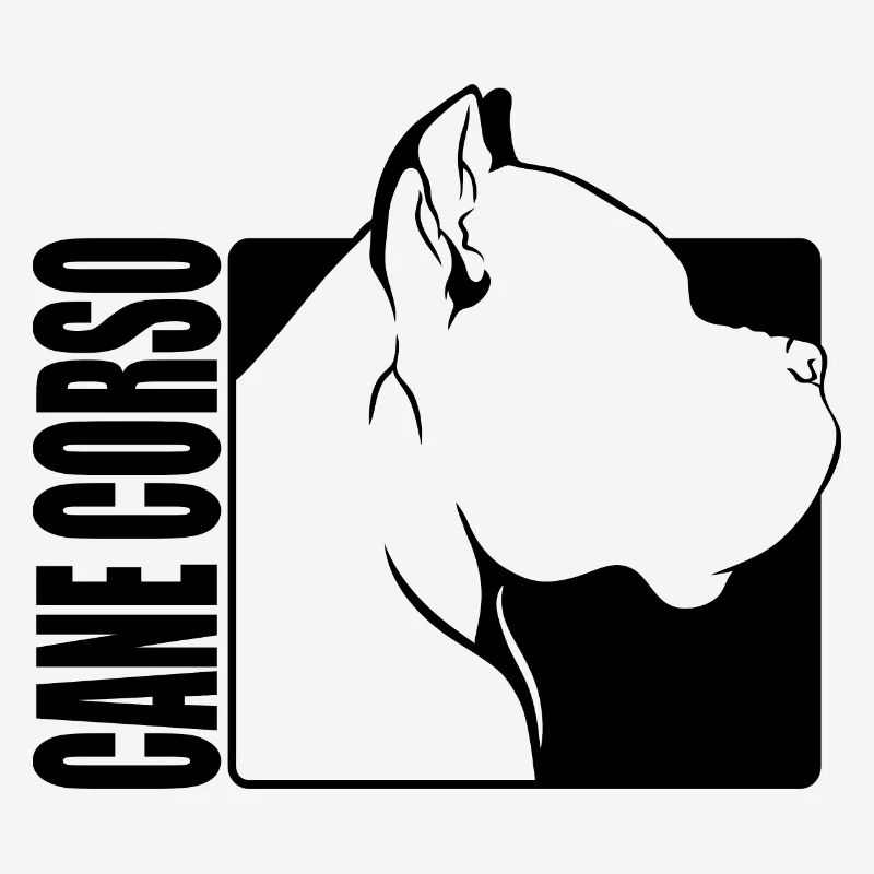 Cane Corso Profil Chiens Chien Wilsigns