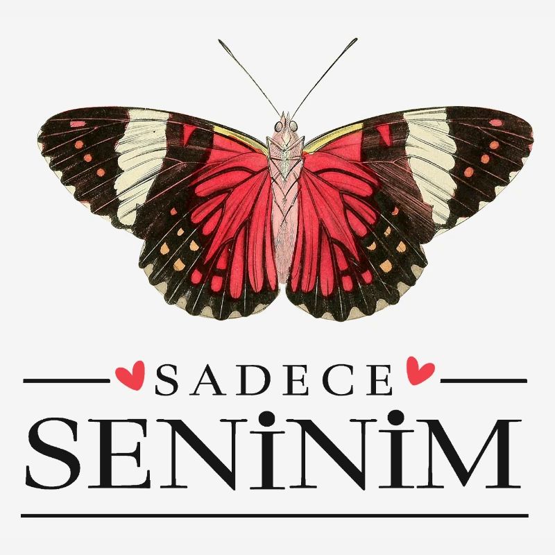 Conception créative de papillons – Sadece Seninim