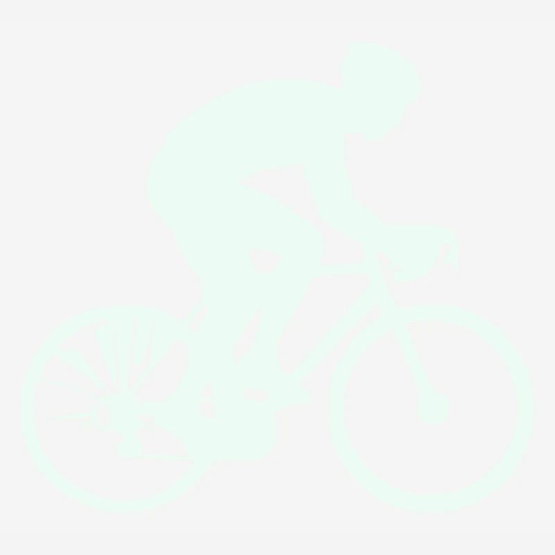Cyclist Silhouette Mint