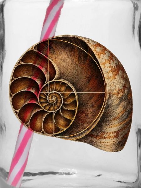 Fibonacci Spirale