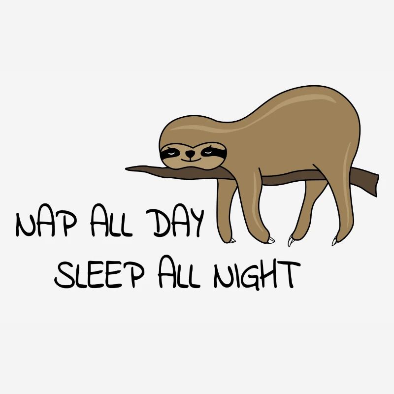Sloth Napping