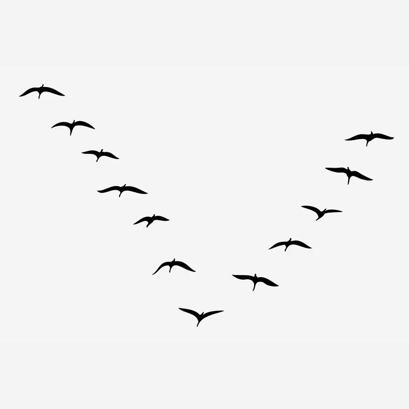 Les oiseaux migrateurs