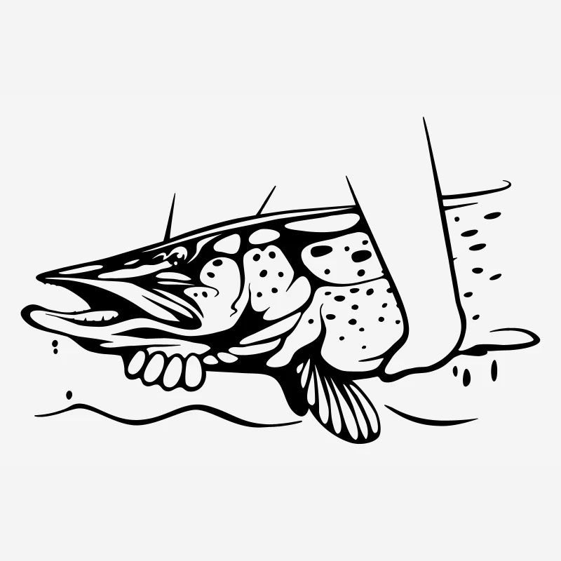 Pike Catch & Release