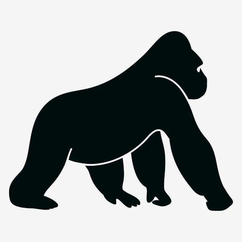 A wild gorilla