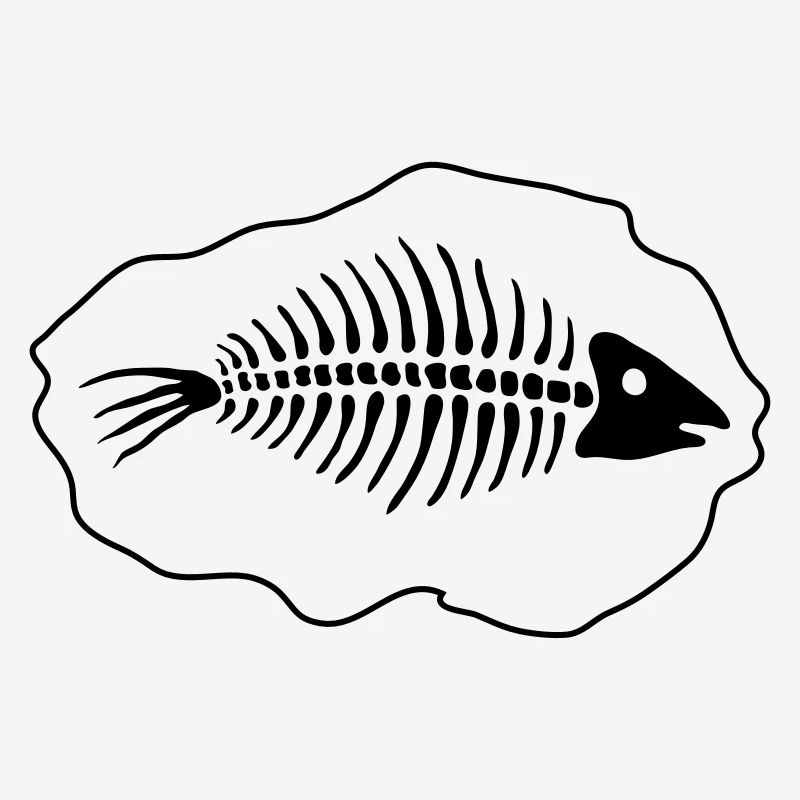 Fisch _Fossil_2_fp2